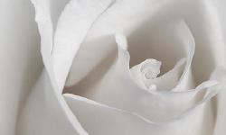 Featured image of post O inimă curată