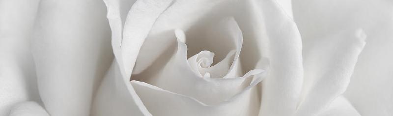 Featured image of post O inimă curată