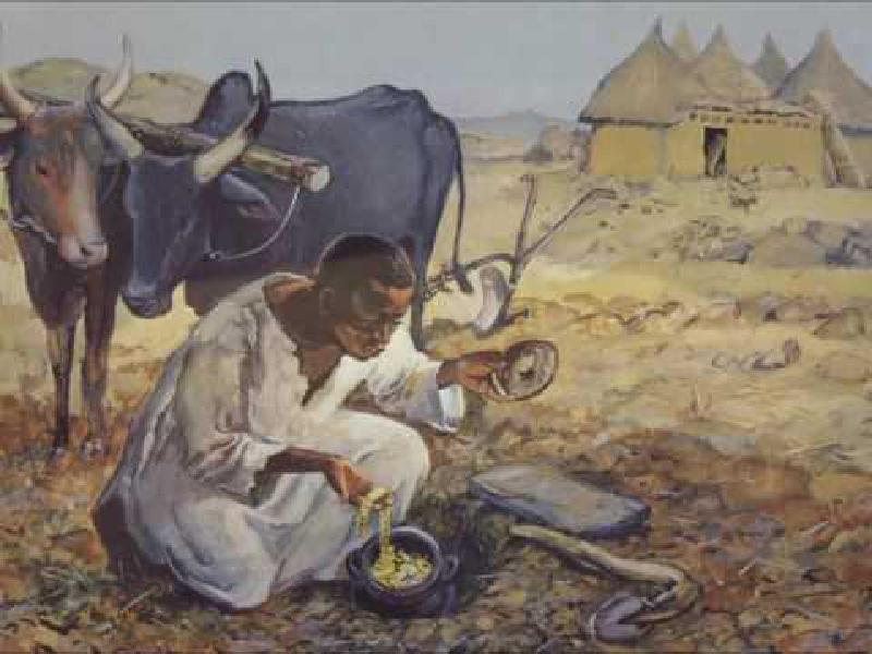 Featured image of post Comoara cea mai de preț